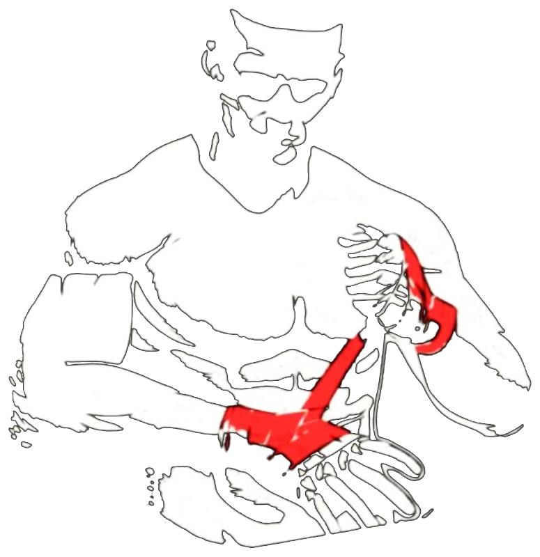 Urban Fight — Escola de Artes Marciais